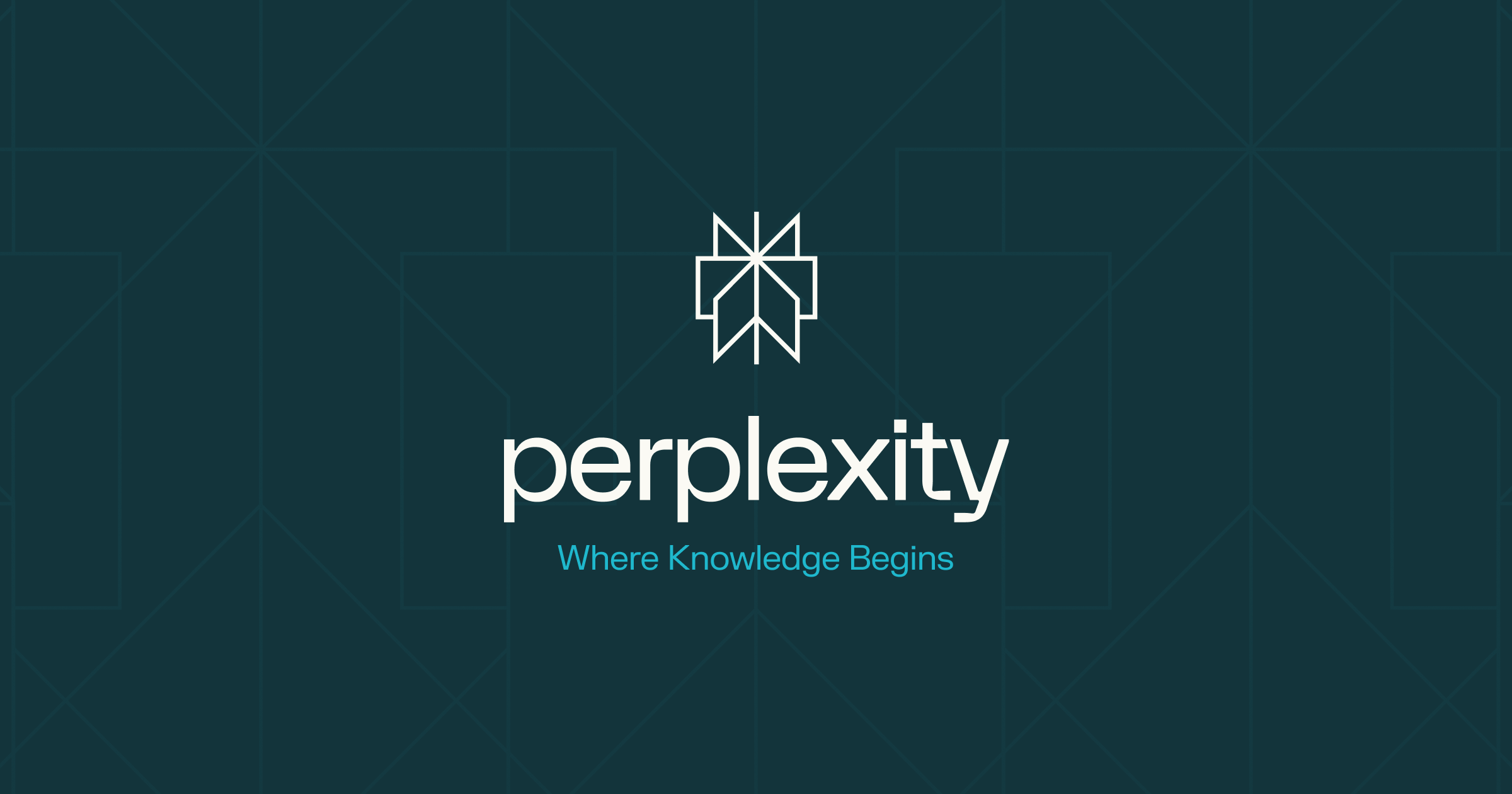 Perplexity · 网站预览